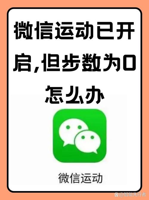 计步数除了微信还有什么(微信除了步数外还有什么)