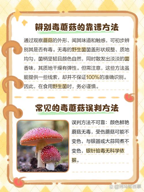 教你识别毒蘑菇：这 5 个特征见到千万远离