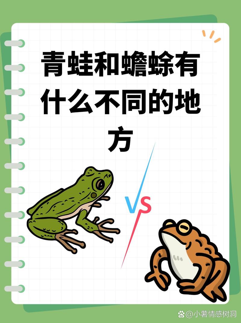 教你区分青蛙和蟾蜍：这 4 个外形特征是关键