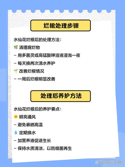 花卉浇水太多烂根了？这 3 步抢救方法快学