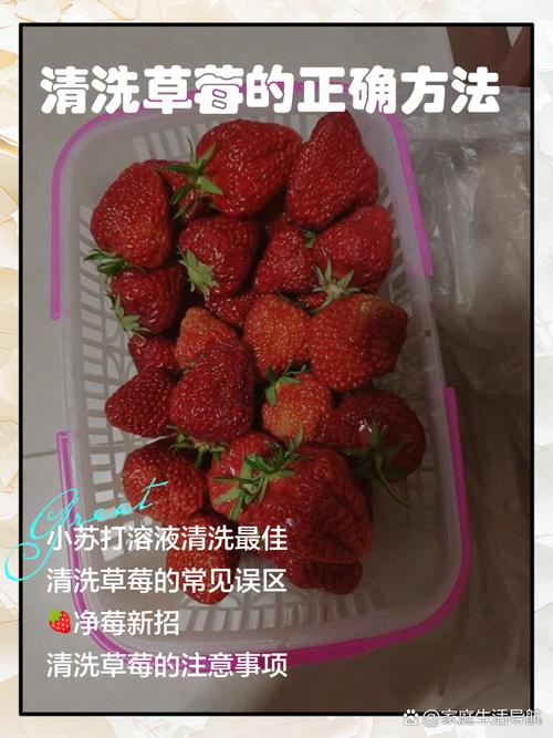 吃草莓要去蒂吗？农残清洗关键步骤​