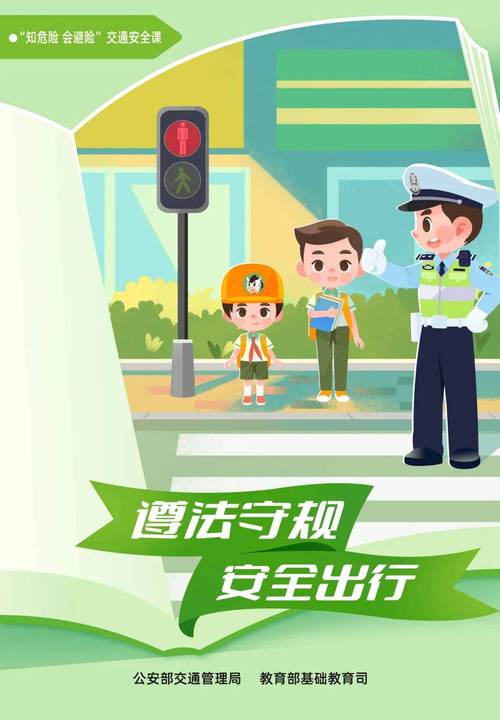 过马路看手机？这些交通安全常识必须刻进DNA