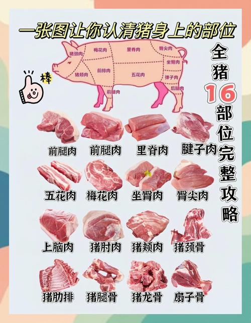 如何挑选新鲜的肉类？实用挑选技巧分享​