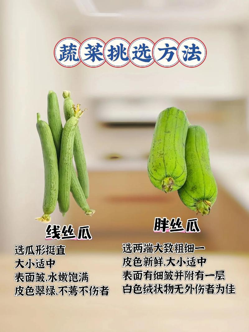 如何挑选新鲜的蔬菜？老农教你实用小技巧​