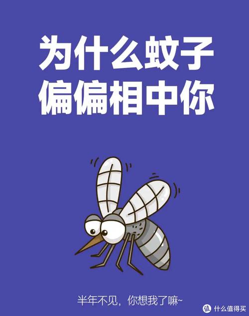 蚊子为什么总咬你?血型无关的真相