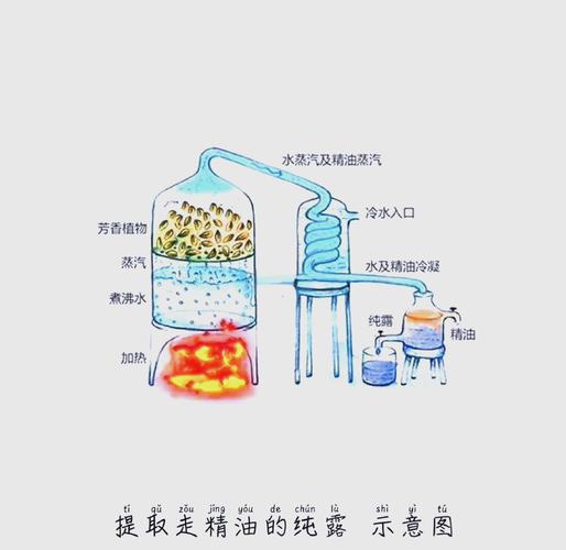 露水是怎么形成的？2 个气象条件要满足