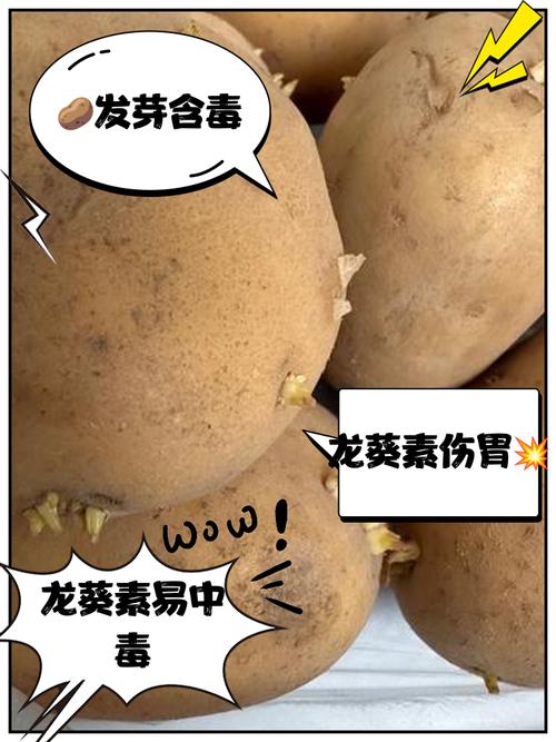 发芽的土豆、发霉的花生…哪些食物霉变必须全扔？