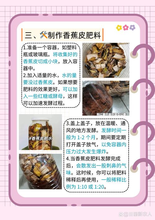 如何用香蕉皮自制花卉杀虫剂，环保配方​