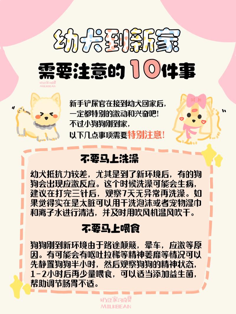 养宠物家庭的安全须知与责任