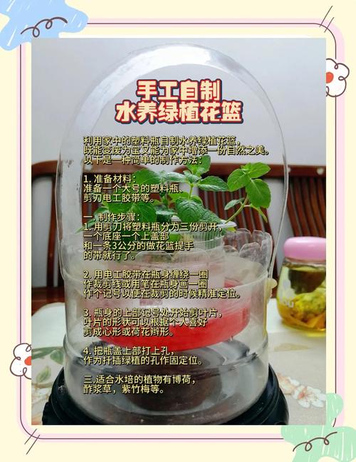 塑料瓶变身自动浇花器，懒人养花神器制作教程​