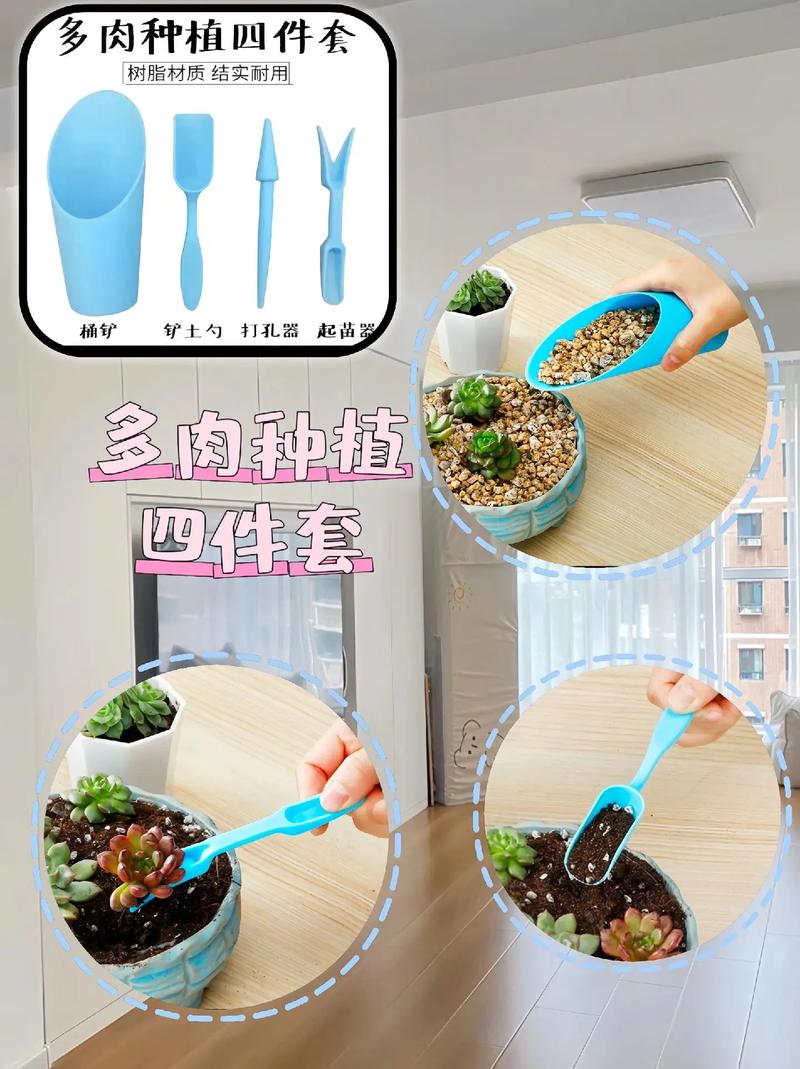 鸡蛋托改造成多肉育苗盘，环保种植新方式​