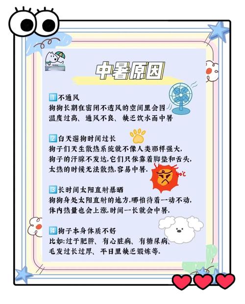 中暑急救“三要三不要”:关键时刻能救命