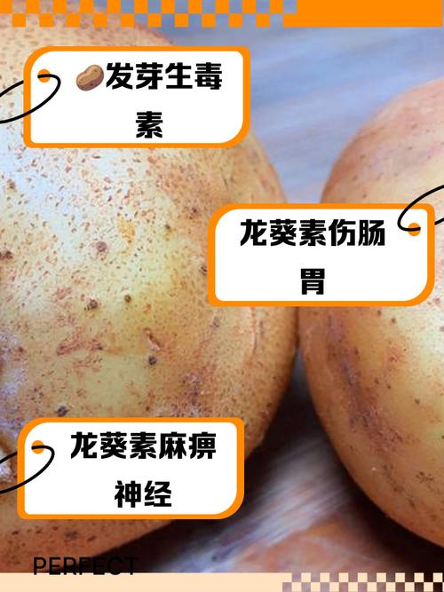 发芽的土豆、发霉的花生…这些食物坚决不能吃！