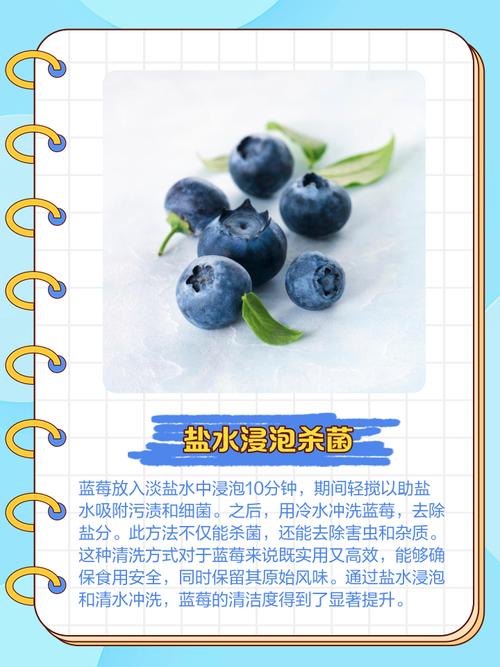 衣服上的蓝莓渍怎么清洗？快速去污有办法​