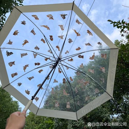 旧雨伞改造成宠物雨披,防水处理要点