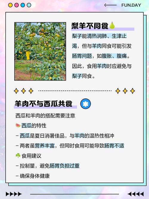 吃西瓜后吃羊肉会中毒?食物搭配科学辟谣