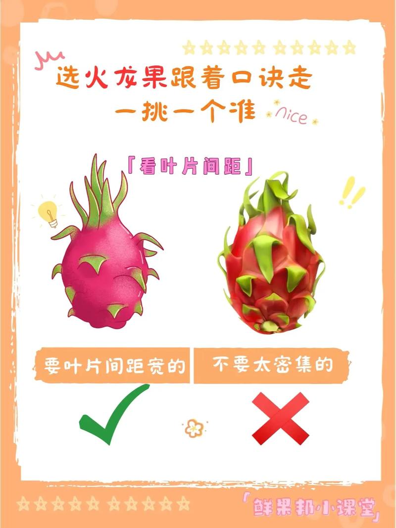 吃火龙果要去籽吗？营养与食用方法​