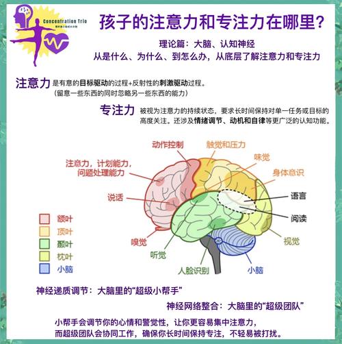 如何提高专注力?这4个方法让你效率翻倍
