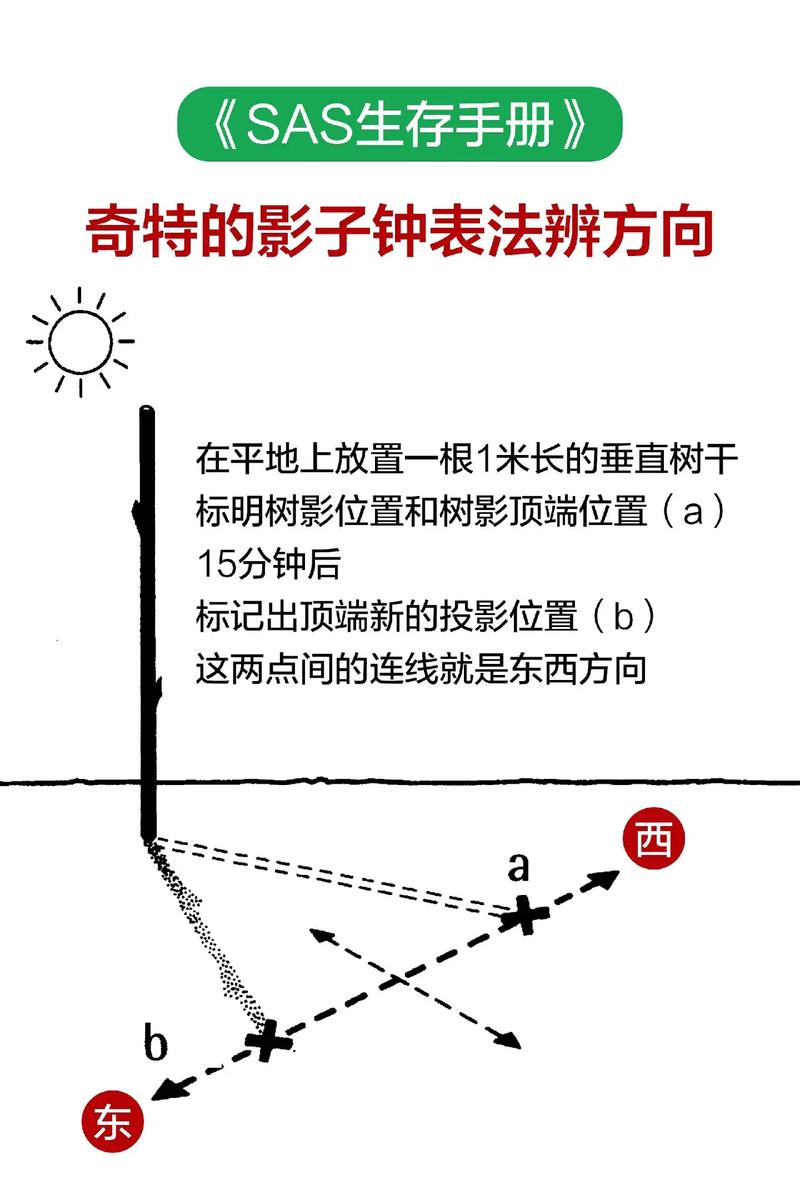 教你辨别方向的 5 种自然方法,野外求生必备