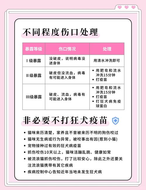 被猫狗抓伤咬伤,必须打狂犬疫苗吗?流程是什么?