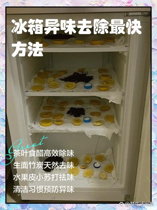 冰箱冷冻室异味重？这些天然吸附剂使用​