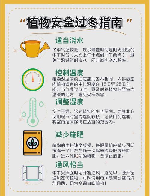 常见绿植养护要点（浇水、光照、施肥）