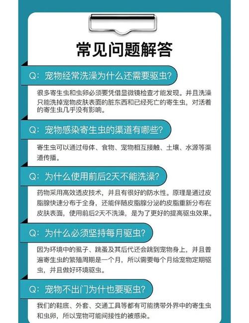 宠物驱虫全攻略：体内外驱虫的正确周期