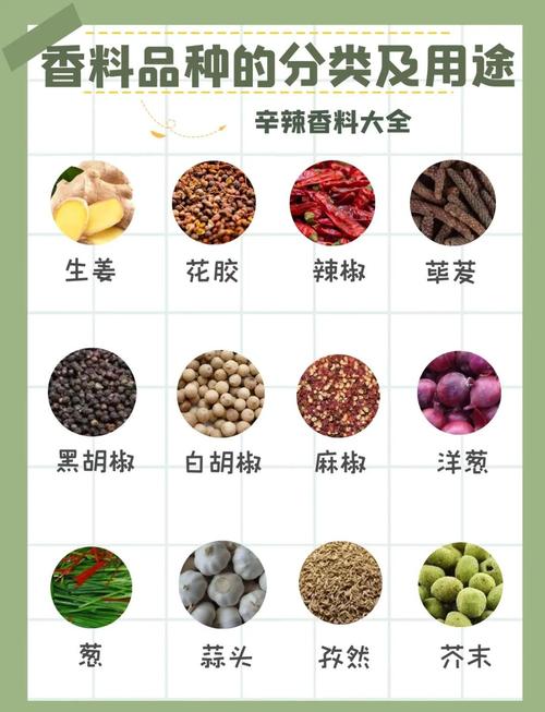 调味料使用宝典：不同香料的风味与搭配秘诀