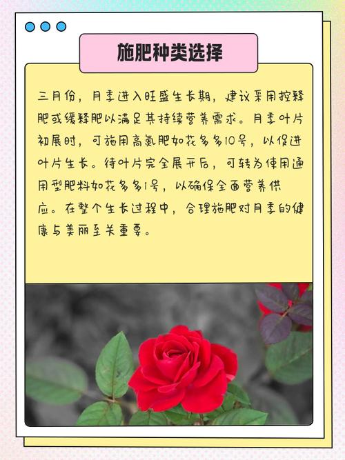 花卉施肥小常识，正确施肥长得好