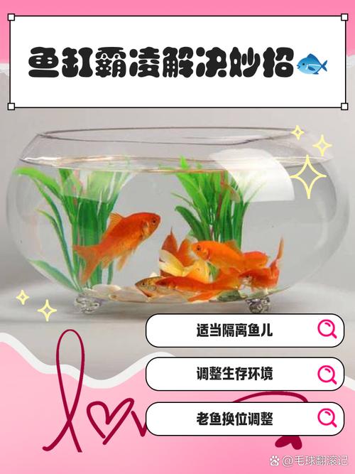 花盆积水滋生红线虫？这些食蚊鱼投放与换水策略​