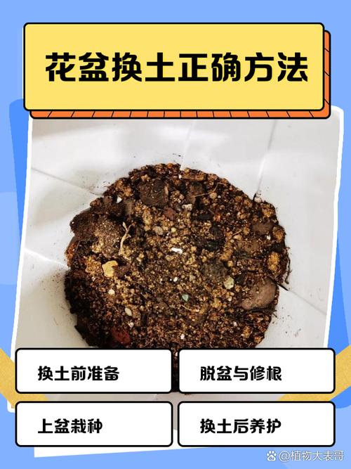 花盆土壤霉变处理？多菌灵灌根与暴晒​
