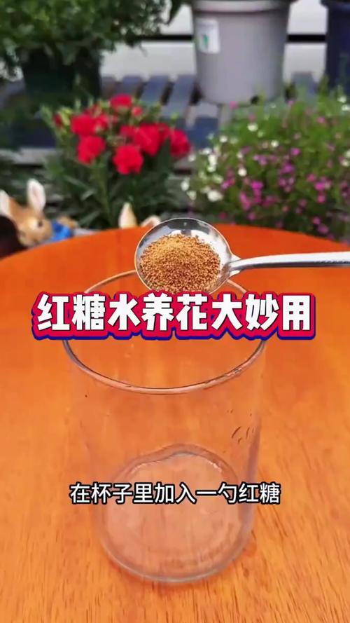 花盆杂草反复生长？红糖 + 沸水定向消杀​