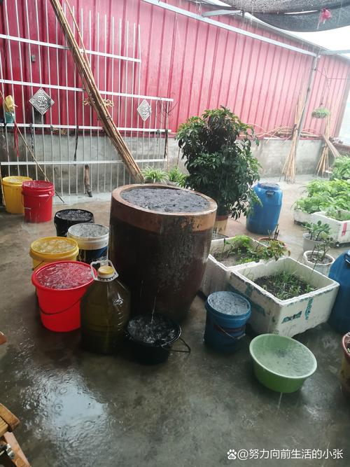 如何收集雨水利用？这 3 个家庭场景很适用