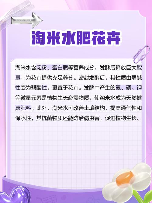 如何用淘米水浇花，让植物长得更茂盛​