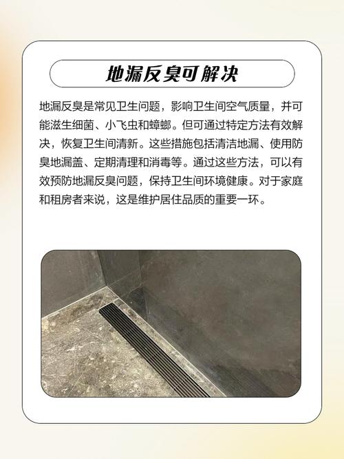 卫生间地漏反味?5毛钱成本就能彻底解决