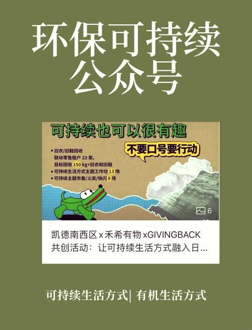 选择环保产品:识别绿色标志与可持续品牌