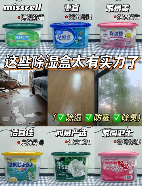 除湿盒放置误区！这些位置效果大打折扣