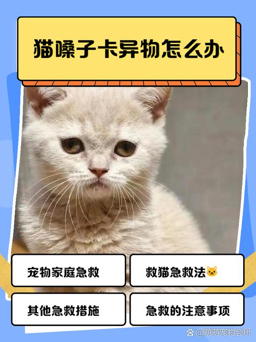 水生动物异物卡喉？水压辅助排出