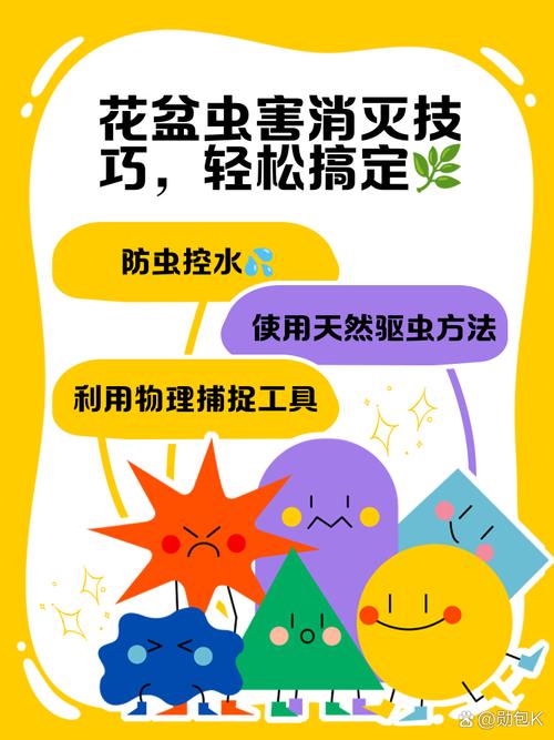花盆病虫害防治!植物健康无忧
