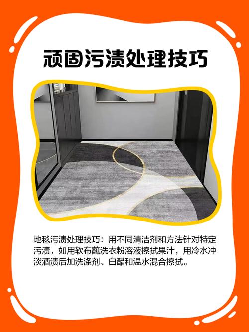 羊毛地毯除尘误区！除尘效率 + 清洁方法