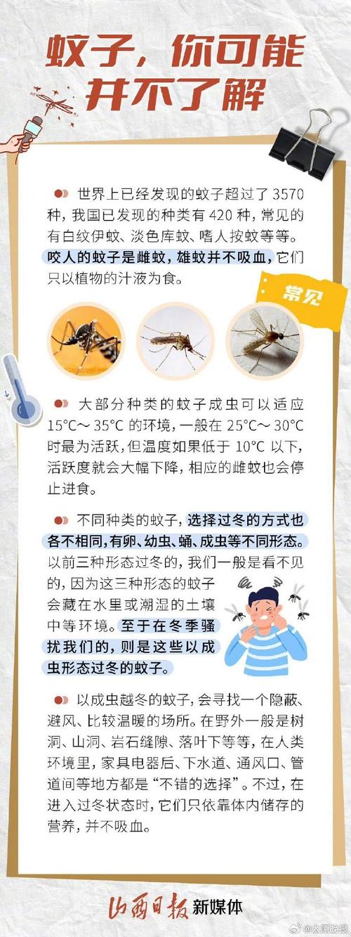 蚊子嗡嗡扰人?维生素B1水驱蚊!