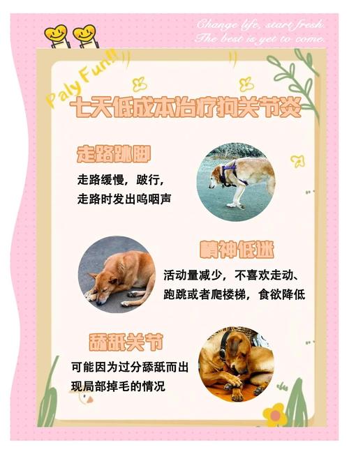 狗狗关节炎?喂食「葡萄糖胺」
