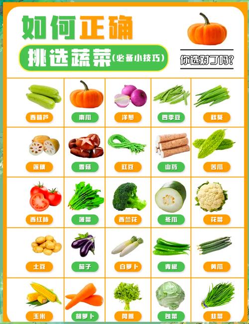 菜市场买蔬菜的隐藏技巧，专挑新鲜好货
