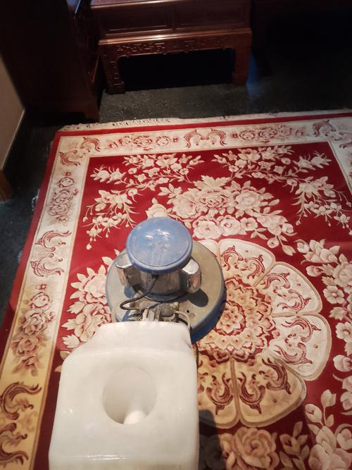 羊毛地毯防蛀妙招误区！驱虫效果+方法对比