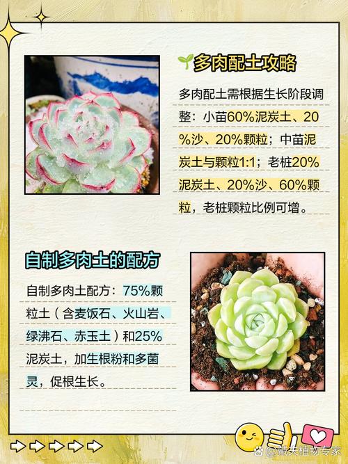 多肉植物配土优化误区！土壤酸碱度调节