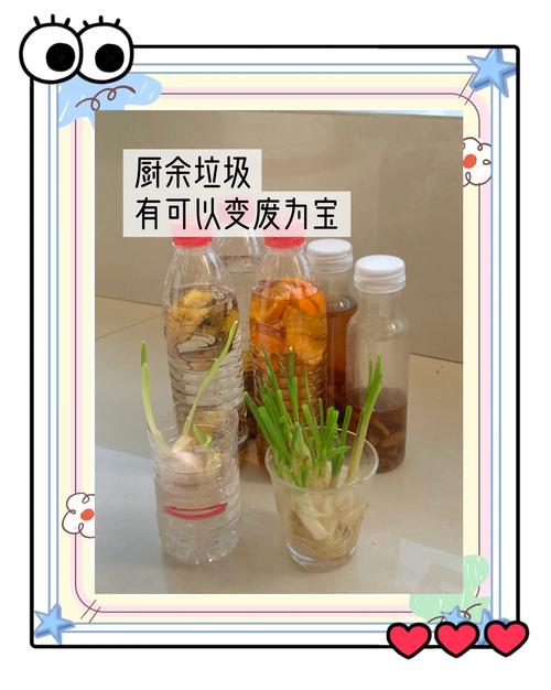 自制堆肥环保?厨余垃圾变肥料!