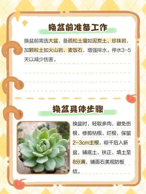 多肉植物配土误区！常见错误与正确方案