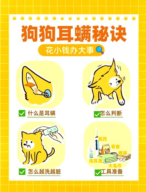 狗狗耳螨怎么治疗？详细用药步骤