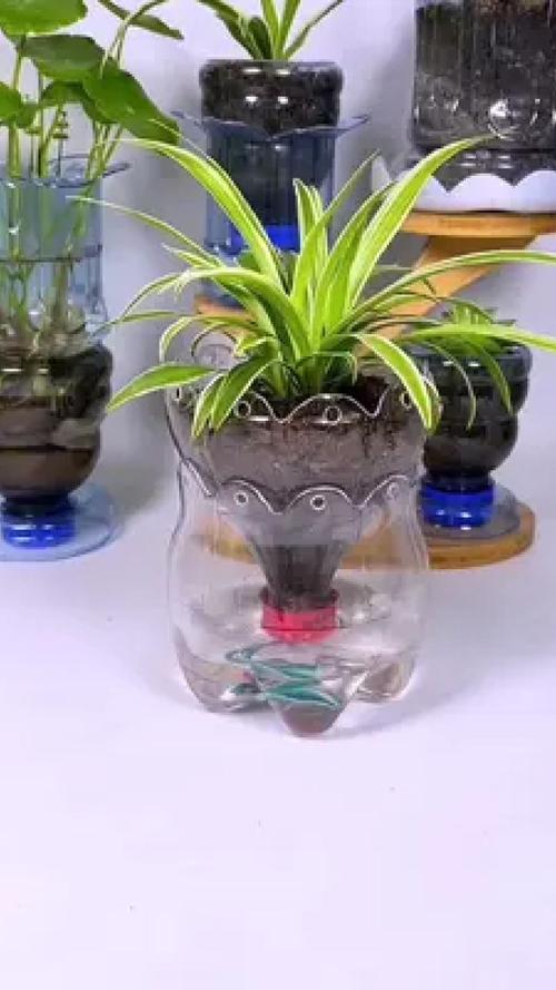 塑料瓶改造！制作悬挂式花盆
