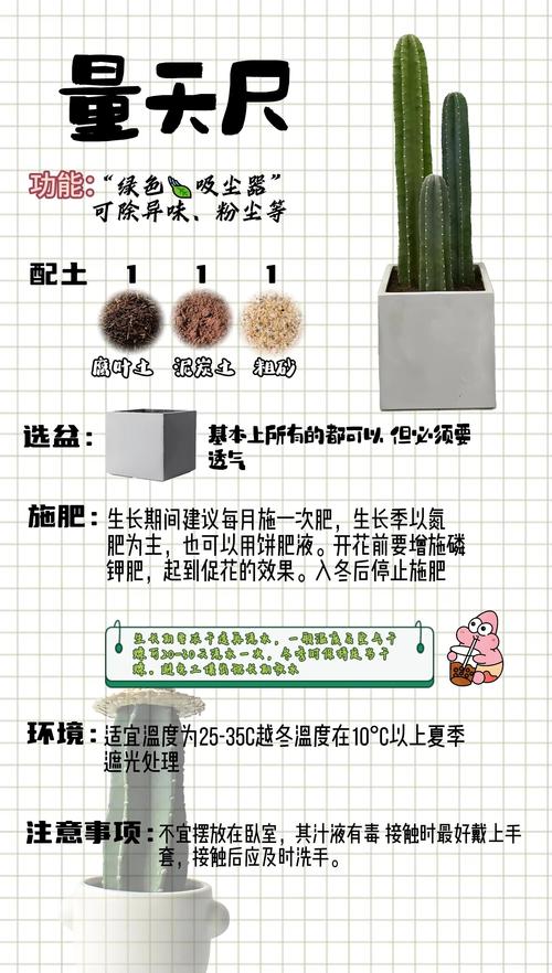花盆施肥时间！植物生长关键